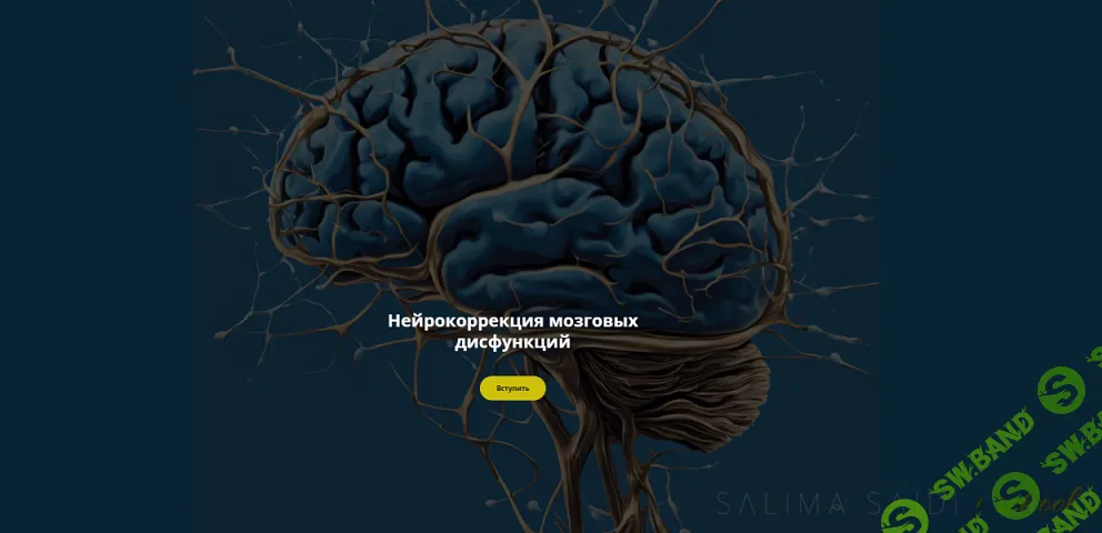 [Салима Саиди] Нейрокоррекция мозговых дисфункций (Подписка на месяц) (2024)