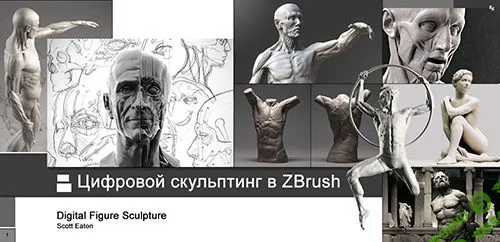 [Scott-Eaton] Курс цифрового скульптинга человека в Zbrush (1-10 неделя) 2012 год Digital Figure Sculpture