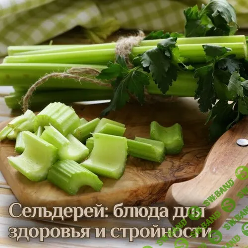 Сельдерей: блюда для здоровья и стройности [Катя Янг]