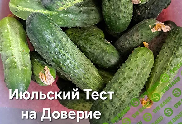 [Шитье] Сумки. Июльский тест на доверие (тариф - вслепую) [Сумочный Рай] [Светлана Костина]
