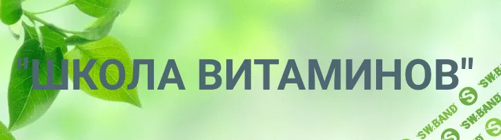 Школа витаминов [Алина Абдульманова]