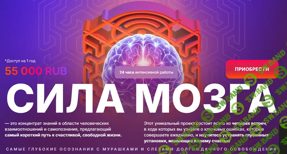 Сила Мозга. Встреча 1 "Сила Принятия" [Анна Камаллая Хефорс]