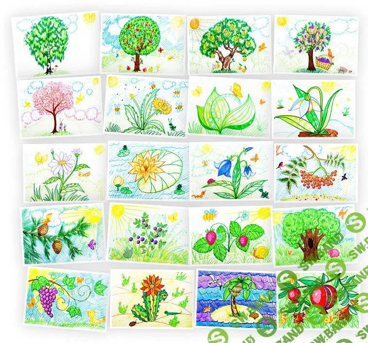 [Skillberry] Рисование для детей. Рисуем растения фломастерами (2020)
