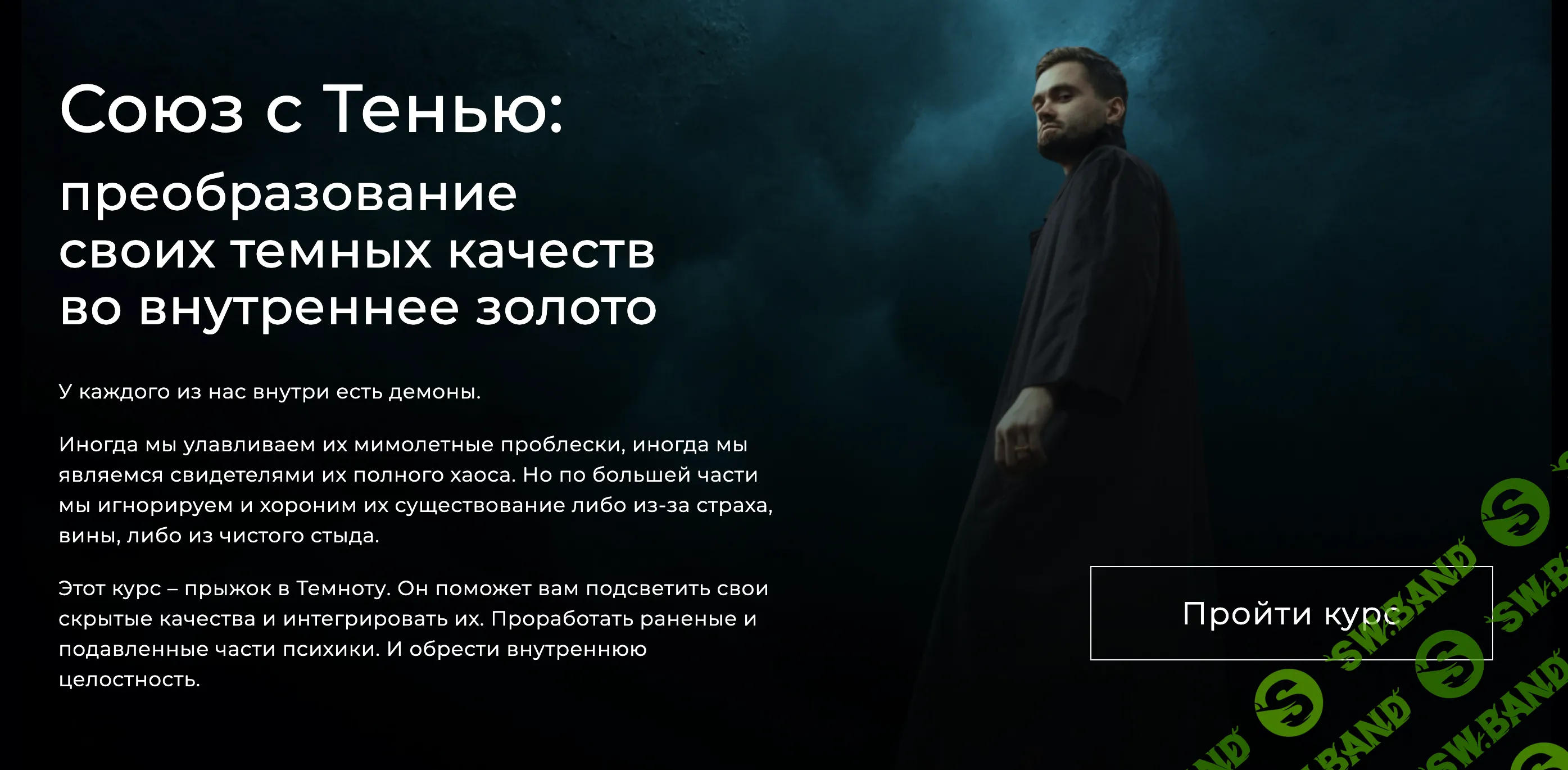 Союз с тенью: преобразование своих темных качеств во внутреннее золото [Александр Некрасов]