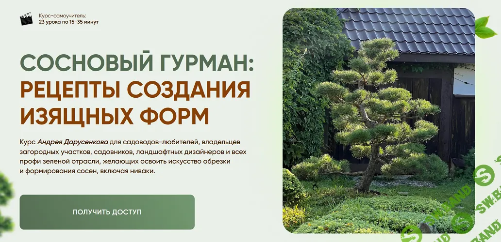 Сосновый гурман: рецепты создания изящных форм [Андрей Дарусенков]