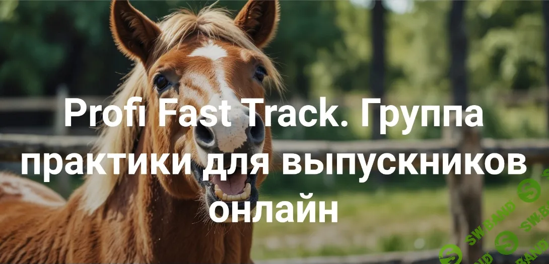 Состояние расстановщика. Profi Fast Track [Институт Открытого поля] [Елена Веселаго]