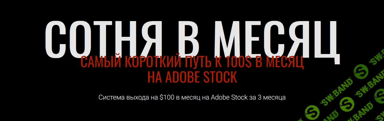 Сотня со стоков [Гильдия роста] [Василина Баранова, Юрий Курилов]