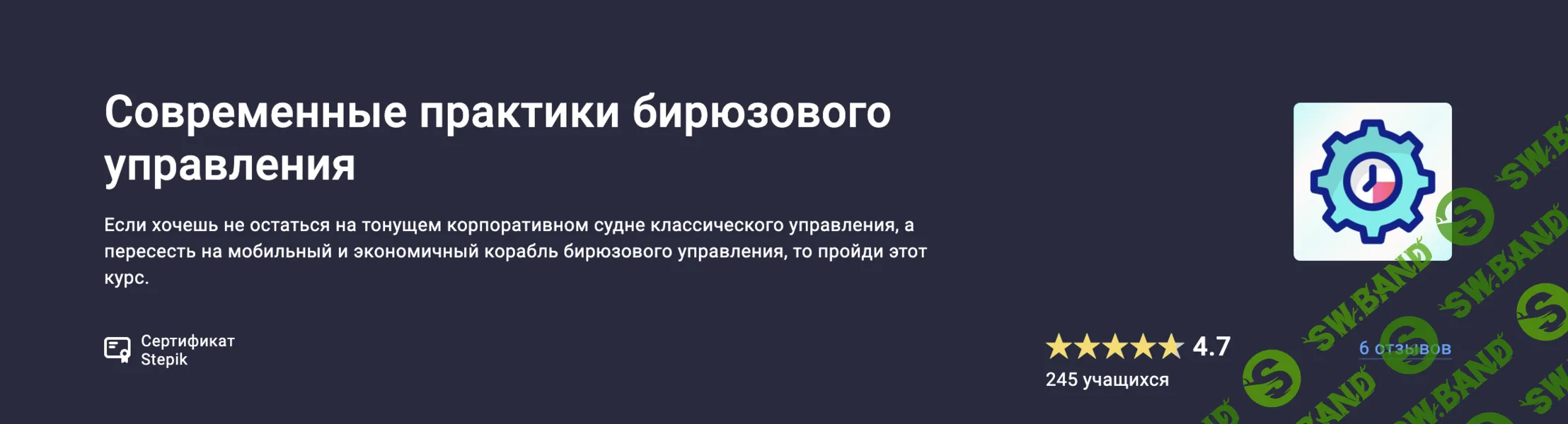 Современные практики бирюзового управления [Stepik] [Валера Разгуляев]