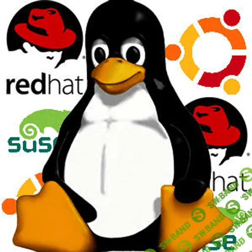[Специалист] Linux/FreeBSD - Эффективная работа в командной строке (2016)