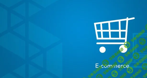 [Специалист] Основы E-commerce. Как создать успешный интернет-магазин (2019)