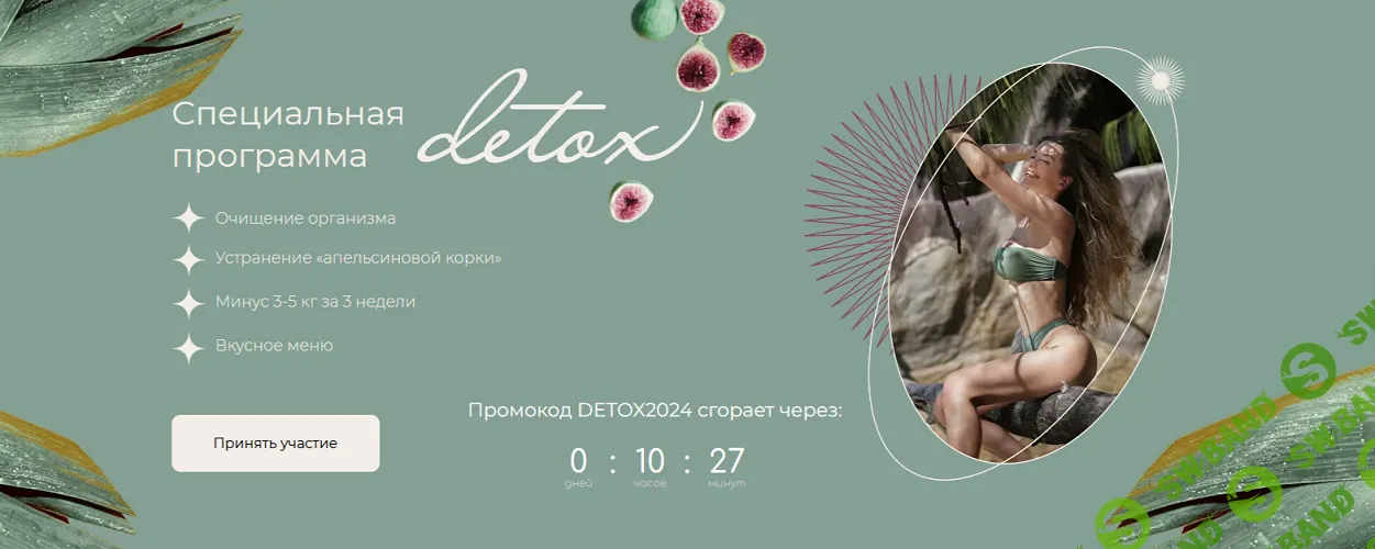 Специальная программа Detox [Елена Рыбальченко]