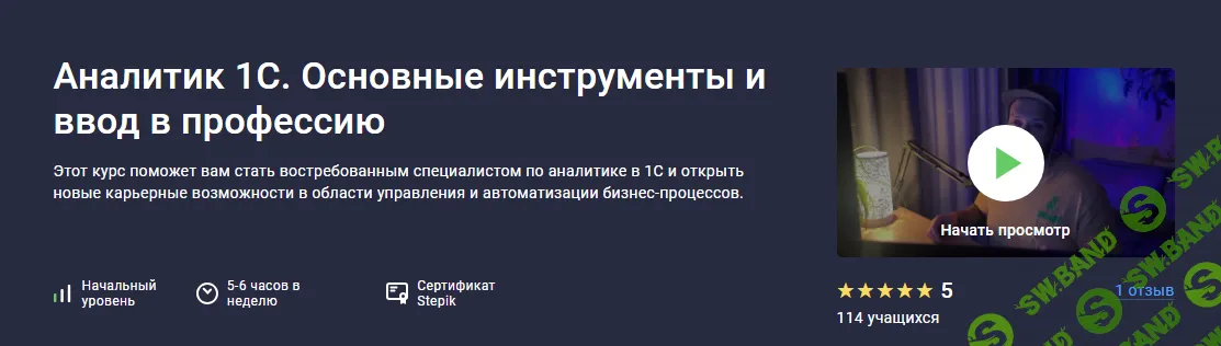 [Stepik] Аналитик 1С. Основные инструменты и ввод в профессию (2024)