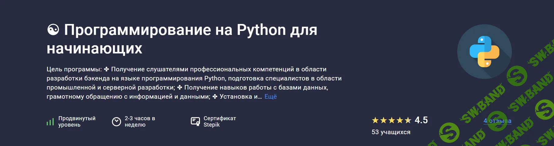 [Stepik] Программирование на Python для начинающих (2024)