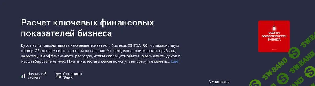 [Stepik] Расчет ключевых финансовых показателей бизнеса (2025)