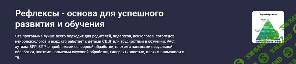 [Stepik] Рефлексы - основа для успешного развития и обучения (2024)
