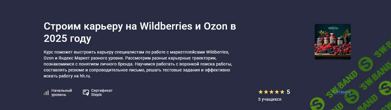 Строим карьеру на Wildberries и Ozon в 2025 году [stepik] [Евгений Новиков]