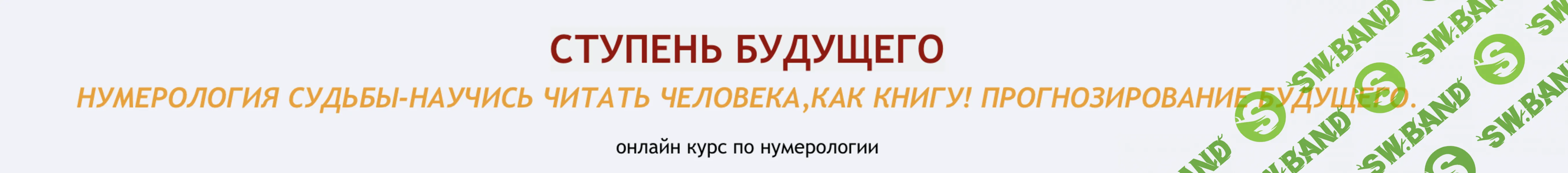 Ступень будущего. Нумерология судьбы-научись читать человека, как книгу. Прогнозирование будущего [Екатерина Торопина]