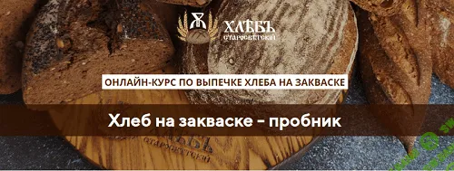 [Светлана Аристова] Хлеб на закваске - пробник (2020)