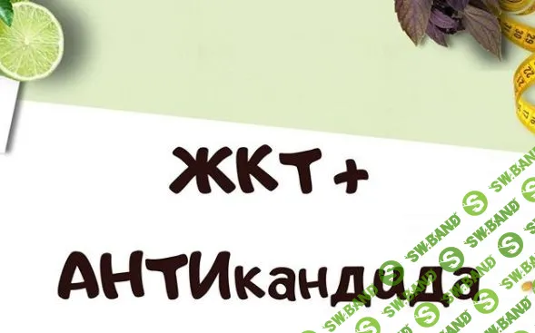 [Светлана Литвиненко] Протоколы «Здоровье органов ЖКТ» + «АНТИкандида» (2020)