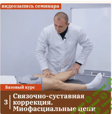 Связочно-суставная коррекция. Миофасциальные цепи [Циванюк Антон]