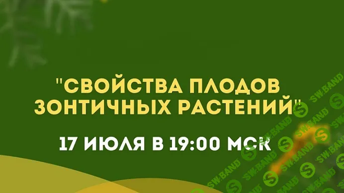 Свойства плодов зонтичных растений [Ольга Данилюк]