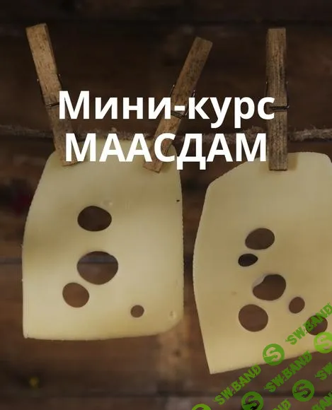 [СырДоДыр] Маасдам (2025)