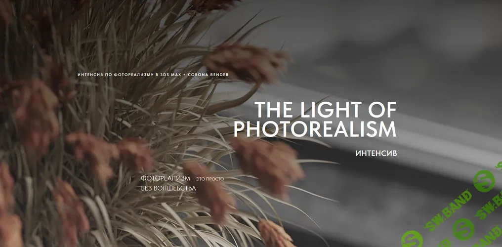 The light of photorealism. Интенсив по фотореализму в 3ds Max + Corona Renderer [Карина Сотникова]