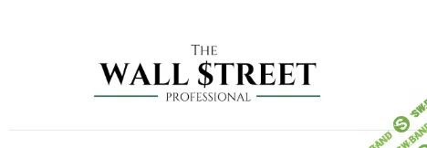 [The Wall Street Pro] Стратегический вебинар по российским акциям Июнь (2024)