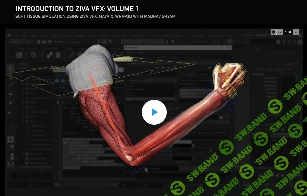 [TheGnomonWorkshop, Madhav Shyam] Introduction to Ziva VFX - Volume 1 (2023)