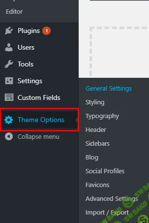 theme-options.png