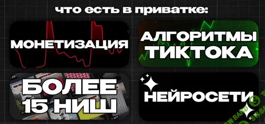 TikTok Монетизация. Приватка на 1 месяц [Deni]