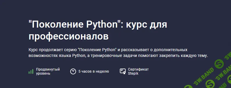 [Тимур Гуев, Артур Харисов] [Школа BEEGEEK] "Поколение Python": курс для профессионалов (2022)