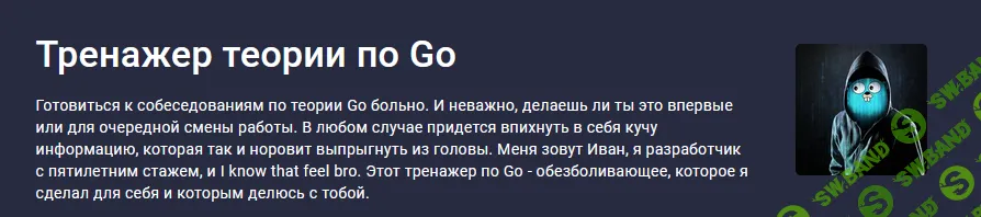 Тренажер теории по Go [stepik] [Иван Ильченко]