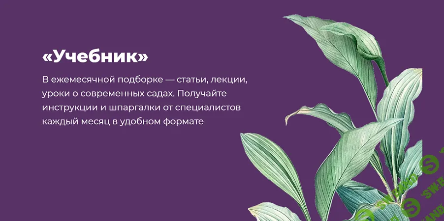 Учебник. Май — все о лиственных кустарниках [Школа Сада] [Мария Шашкова, Майя Сандалова]