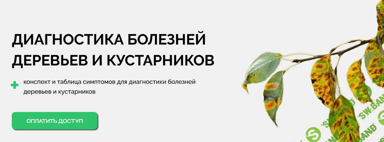 [Умный Садовник] Диагностика болезней деревьев и кустарников (2025)