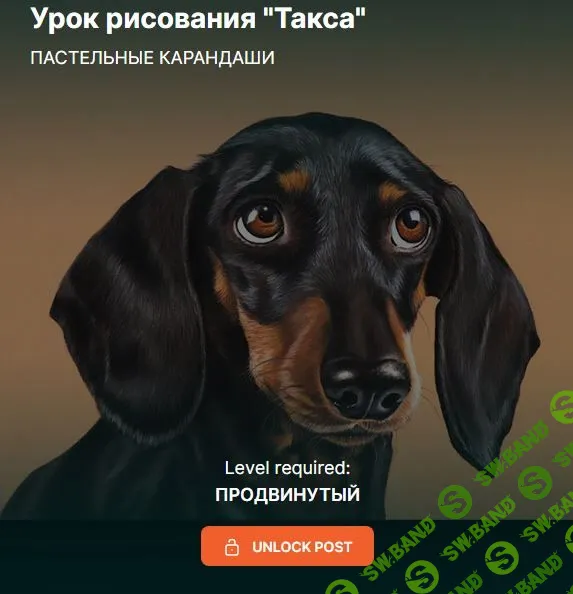 Урок рисования "Такса" [Юлия Омельченко]
