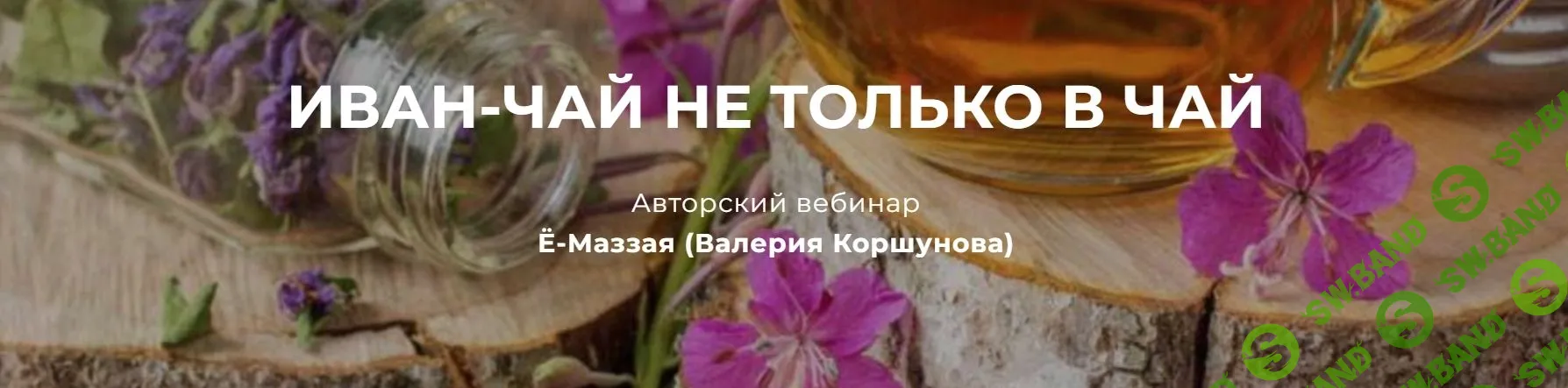 [Валерий Коршунов] Иван-чай не только в чай (2023)