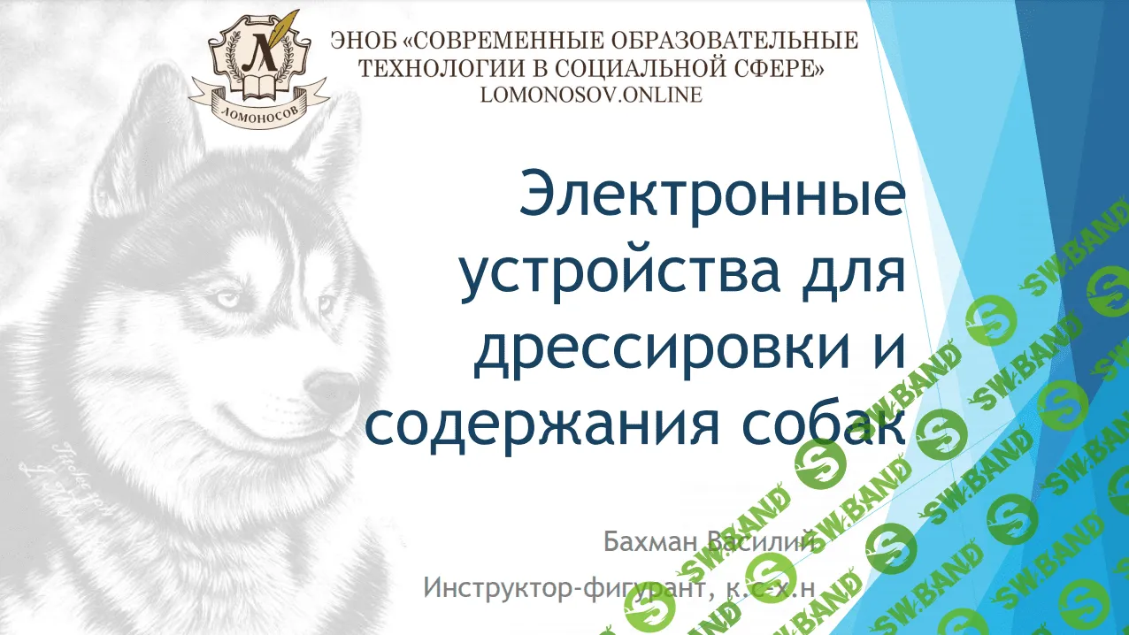 [Василий Бахман] Электроустройства для дрессировки и содержания собак (2023)