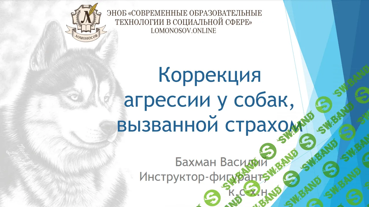 [Василий Бахман] Коррекция агрессии у собак, вызванной страхом (2023)