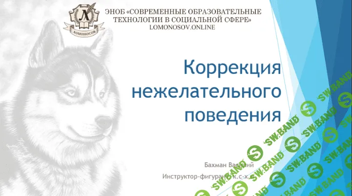 [Василий Бахман] Коррекция нежелательного поведения у собак (2023)