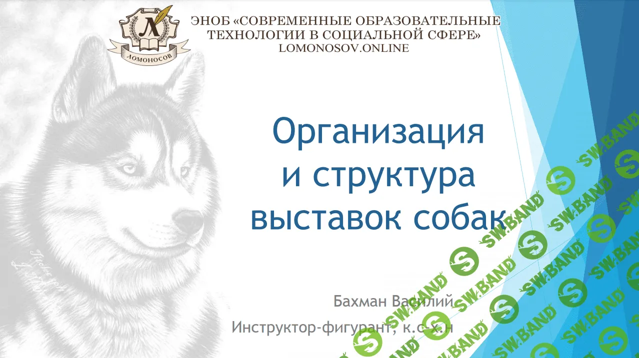 [Василий Бахман] Организация и структура выставок собак (2023)