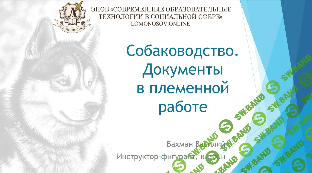 [Василий Бахман] Собаководство. Документы в племенной работе (2023)