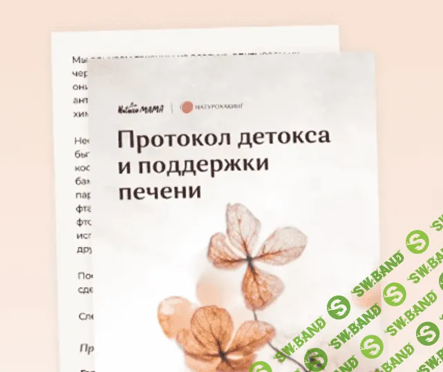 [Вероника Хуснутдинова] Рекомендации для детокса и восстановления печени (2023)