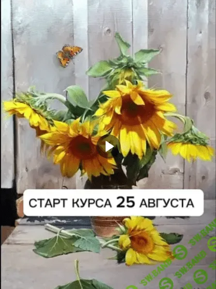 [Виталий Антипин] Цветы маслом (2023)