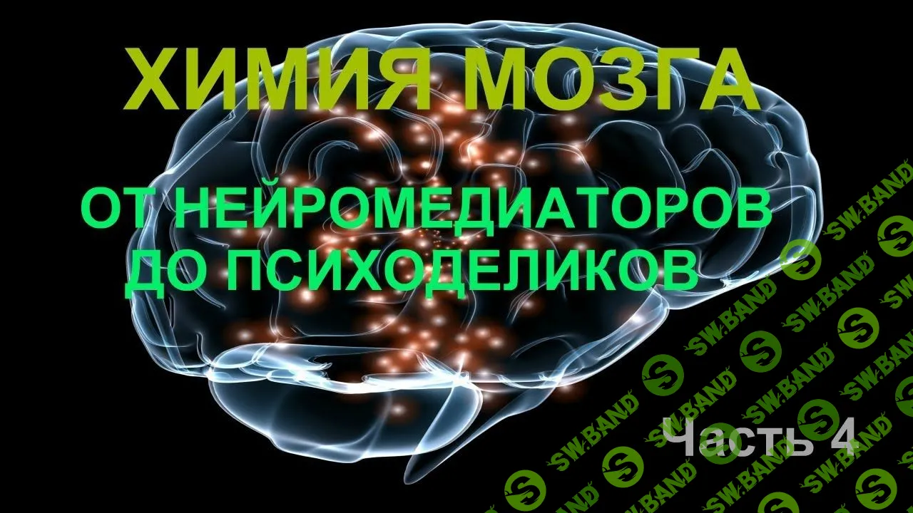 [Вячеслав Дубынин] Химия мозга от нейромедиаторов до психоделиков