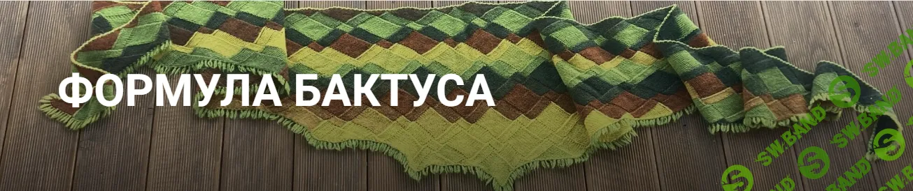 [Вязание] Формула бактуса [Вера Папкова]