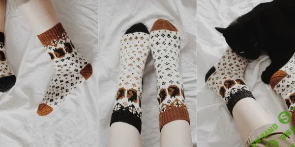[Вязание] Жаккардовые носки с котиками Nocturnal [Вяжи.ру] [thepetiteknitter]