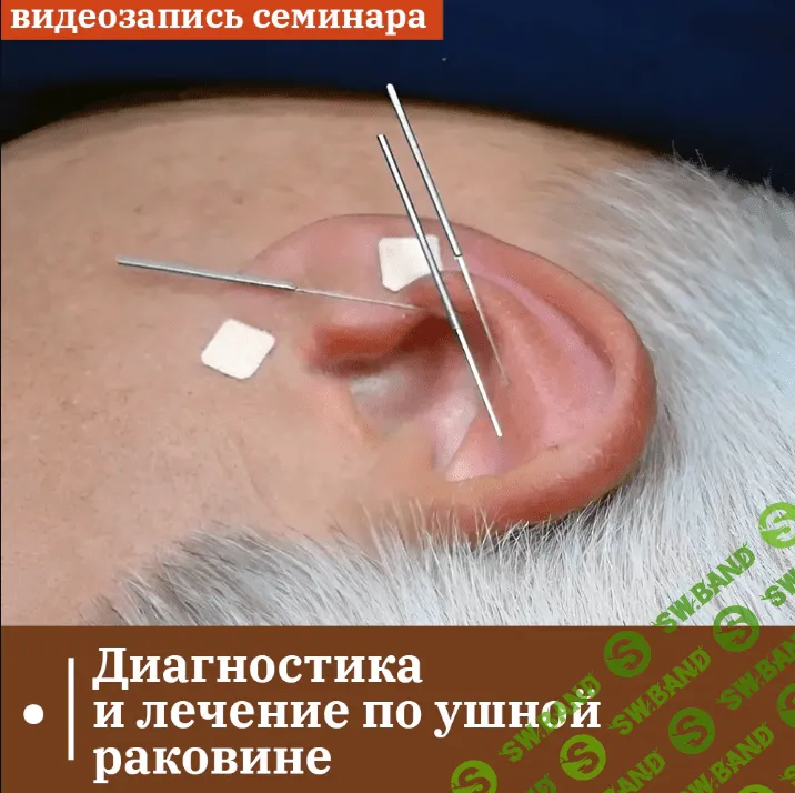 [Владимир Кононов] Диагностика и лечение по ушной раковине. Лечение зависимостей (2023)