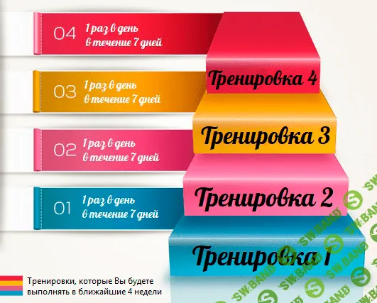 [Владимир Никифоров] Курс для бедер и ягодиц: стройные и упругие за 28 дней (2020)