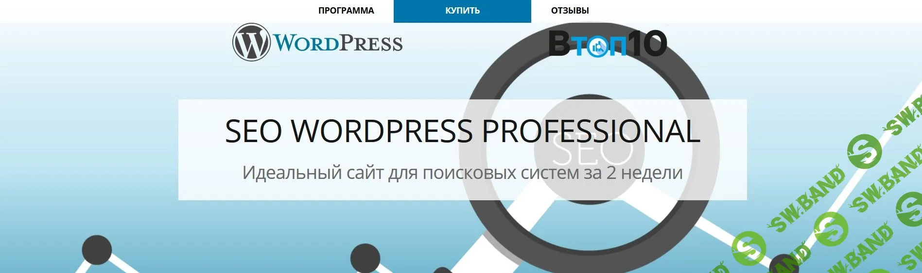 [Владимир Хомиченко, Антон Кучик] SEO WordPress Professional. Идеальный сайт для поисковых систем за 2 недели (2018)